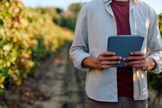 Farmer in a vineyard managing crop data with a digital tablet. Implementing smart farming technology for efficient viticulture