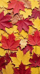 Fototapeta premium Red and yellow maple leaves texture, autumnal foliage background, showcasing vibrant fall colors symbolizing seasonal change and nature's beauty