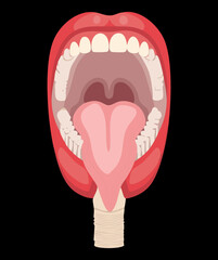 Close-up anatomical illustration of the human mouth and throat, showing the tongue, uvula, and soft palate in detail	