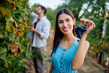 Woman smiling, holding freshly picked grapes in a vineyard, with a man harvesting in the background. Autumn grape picking