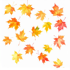 the image displays an array of leaves scattered across a white surface. each leaf exhibits the characteristic shape with pointed lobes and vibrant colors of yellow, orange, and red