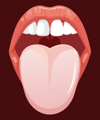 Simplified Tongue Diagram Highlighting Taste Receptor Areas and the Perception of Different Flavors	
