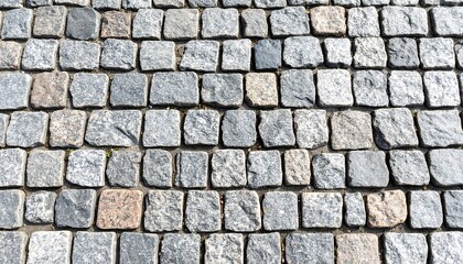 Cobblestone pavement texture (1)