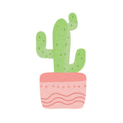 Cactus illustration
