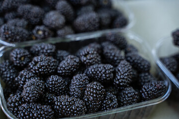 Blackberries in market containers at grocery store, organic seasonal berries displayed for sale, colorful fresh summer harvest, natural healthy vegetarian food, selected focus, close-up