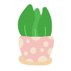 Cactus illustration