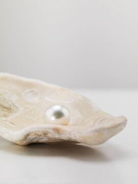 Still life of a white pearl in a shell.