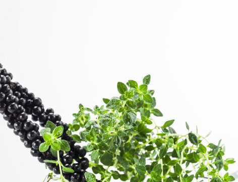Still life of fresh black pepper and thyme.