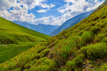 Majestic mountains and lush vegetation in serene landscape in Kyrgyzstan