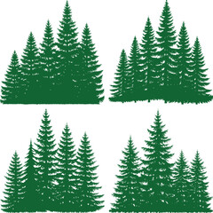 Obraz premium Green silhouettes of evergreen pine trees in a forest