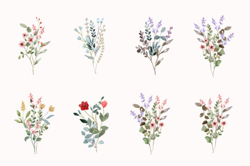 delicate floral watercolor bouquet collection