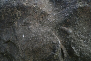 close up rock texture background