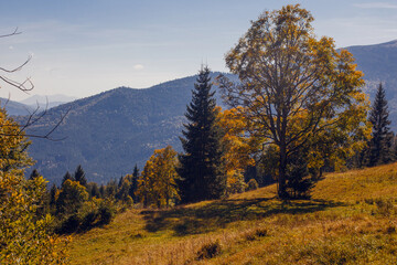 Beautiful early autumn in Carpathian mountains, Ukraine
