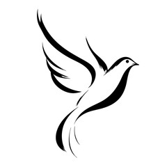 vector illustration of a dove