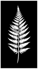 Fototapeta premium vector silhouette of a feather