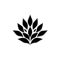 vector illustration of a leaf