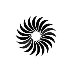 black and white feather vector