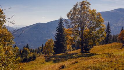 Beautiful early autumn in Carpathian mountains, Ukraine