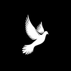 bird, dove, vector, pigeon, flying, peace, animal, 