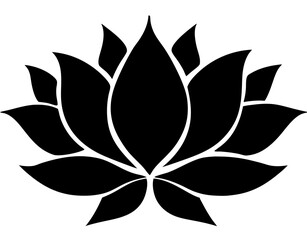 black and white lotus