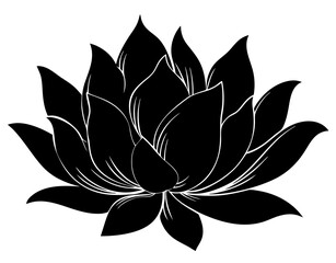 black and white lotus flower