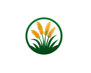 Obraz premium Golden Wheat and Green Grain Stalks Logo Icon. Agricultural Plant Emblem for Organic Food, Farming, Harvest, and Natural Products in a Circle Design.
