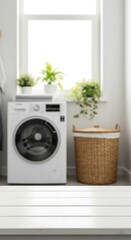 Laundry Room Interior Design with Washer and Basket.