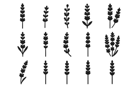 Buds leaf tall bloom segment icon sprig flowering vector lavender set