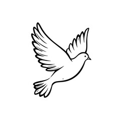 Fototapeta premium Hand drawn flying dove line art illustration. Simple sketch of a white pigeon in flight symbolizing peace, freedom, and hope.