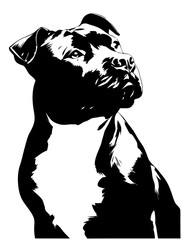 vector illustration of a black panther © azi
