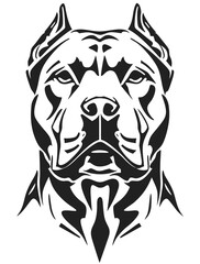 vector illustration of a tiger