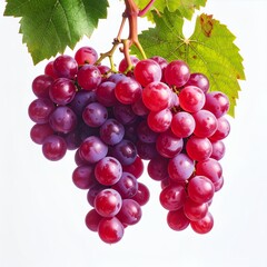 Fototapeta premium Lush cluster of concord grapes isolated against a crisp white backdrop