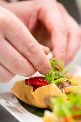 Chef hands garnishing gourmet tartlet with scallions, filled with strawberries and savory ingredients. Elegant plating on white dish with green leaf. Close-up, culinary presentation.