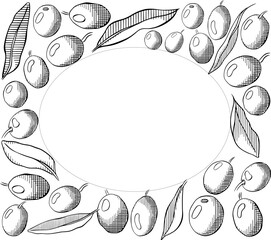 Olive oil design template. Olive Black and white berry and leaves Oval rectangle frame template. Vector graphic line ink illustration. Banner, product packaging, design concept.