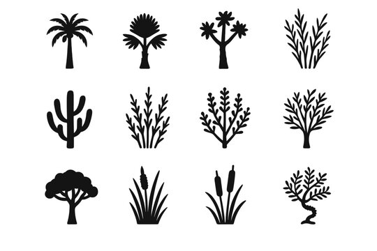 Doum cattail seepwillow flora vector thorn fan camel icon desert icons palm