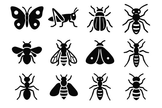 Ant mountain wasp icon insects insect vector stonefly alpine highland glacier