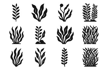 Attached seaweed vector shapes bulb icons rocks icon overlapping kelp forest