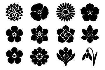 Flower head full grid vector calendula round shape icons dahlia floral crocus