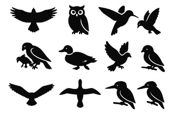 View hovering prey vector silhouette bird icon branch gliding flying icons albatross