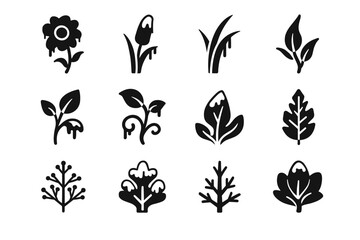 Winter grass vine form cold crown sprout icon icons vector reed climate