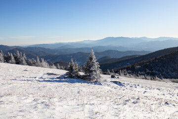 Winter Weather at Roan Mountain in the Blue Ridge Mountains on the Border of North Carolina and Tennessee