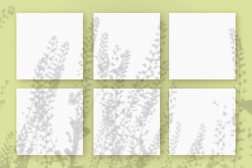 Natural light casts shadows from the field grass on 6 square sheets of white paper lying on a green background. Mockup