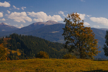 Beautiful early autumn in Carpathian mountains, Ukraine
