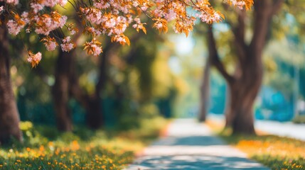 Tranquil Spring Pathway with Vibrant Cherry Blossom Trees