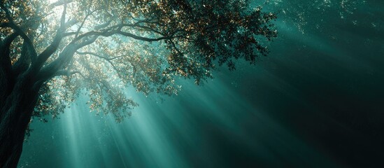 Sunbeams pierce a teal-hued forest canopy