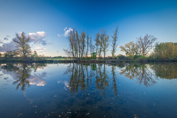 Raba backwater in spring, Gyirmot, Gyor, Hungary