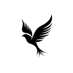 Abstract dark background with subtle white streaks and lines creating a sense of movement and texture