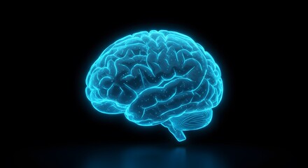 A detailed and illuminated blue brain against a dark backdrop, emphasizing its complexity and significance