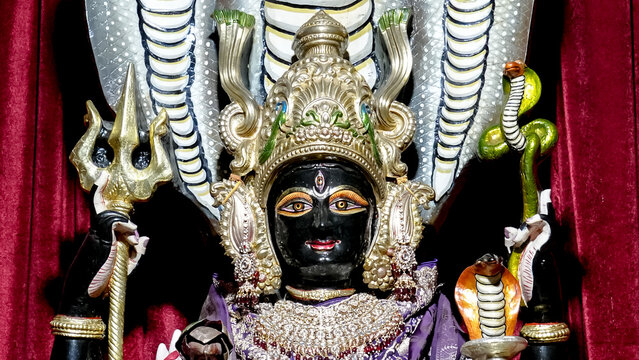 Nag Devi Manasa Mata Statue Draped in Purple Ornaments, Manasa Mata Idol with Naga Canopy and Trishul