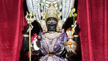 Maa Manasa Devi (Nag Devi / Snake Goddess)